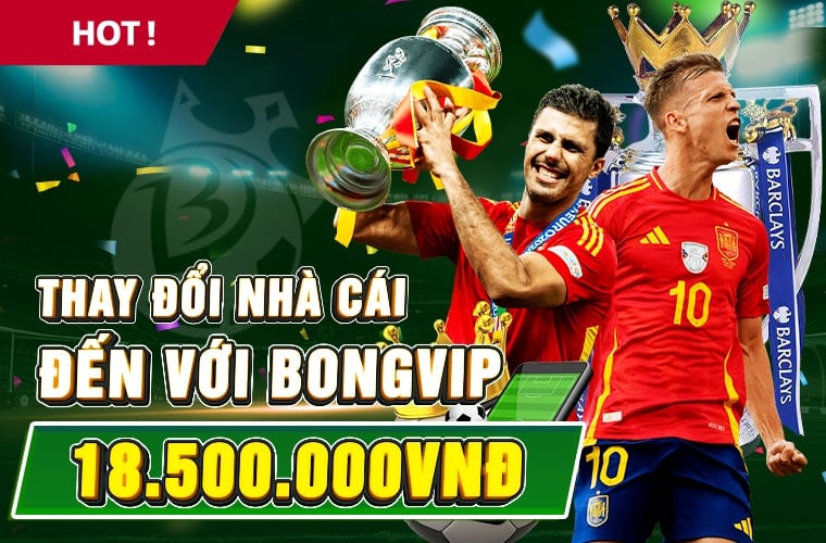 thay-doi-nha-cai-bongvip